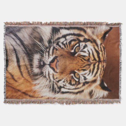 Sumatraanse Tijger Deken (Voorkant)
