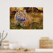 Sumatraanse tijger in waterschilderij poster (Keuken)