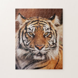 Sumatraanse tijger legpuzzel