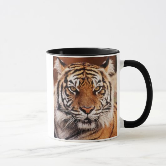 Sumatraanse Tijger Mok (Rechts)