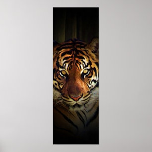 Sumatraanse tijger Poster