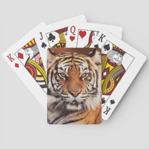 Sumatraanse Tijger Speelkaarten