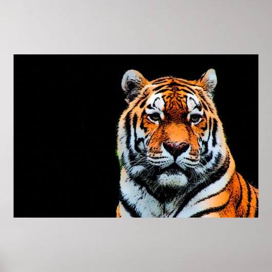 Sumatran Borneo Tiger Poster (Voorkant)