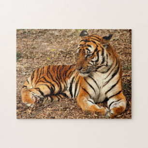 Sumatran Tiger 2 Legpuzzel