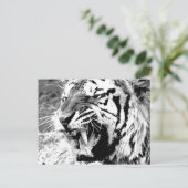 Sumatran Tiger Briefkaart (Staand voorkant)