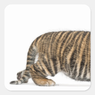 Sumatran Tiger cub 2 Vierkante Sticker