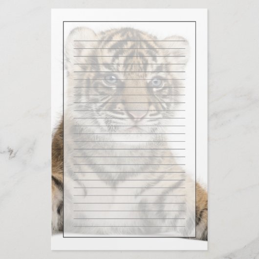 Sumatran Tiger cub Briefpapier (Voorkant)
