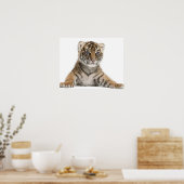 Sumatran Tiger cub Poster (Keuken)