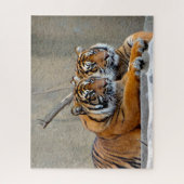 Sumatran Tiger. Grote katten. Legpuzzel (Verticaal)