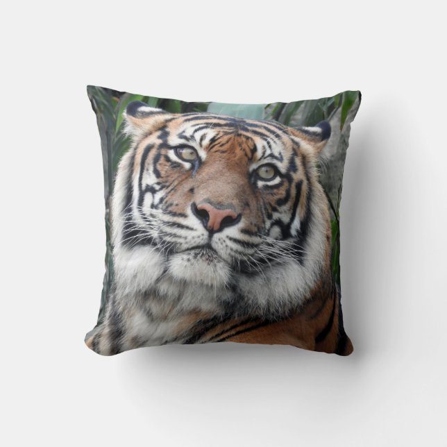 Sumatran Tiger Kussen (Voorkant)