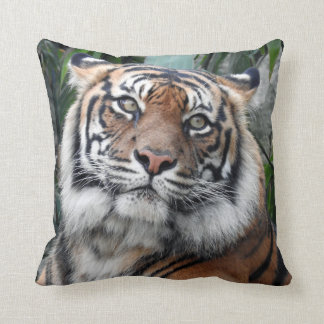 Sumatran Tiger Kussen
