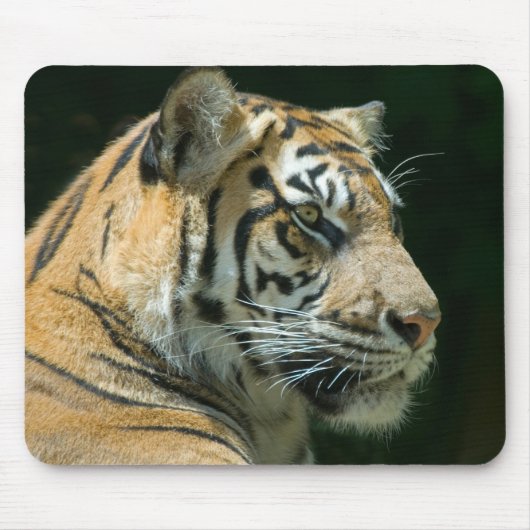 Sumatran Tiger Mousepad Muismat (Voorkant)