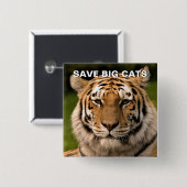 Sumatran Tiger Portrait Vierkante Button 5,1 Cm (Voorkant /achterkant)