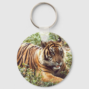 Sumatran Tiger Sleutelhanger