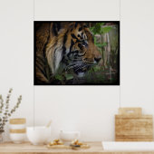 Sumatran Tiger Wildlife Big Cat-Lover Poster (Keuken)