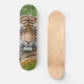 Sumatran Tiger Wildlife Foto Skateboard (Voorkant)