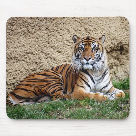 sumatratijger 7 muismat (Voorkant)