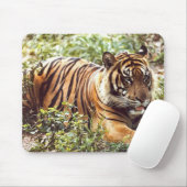 sumatratijger muismat (Met muis)