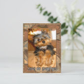 Sumfins Yorkie Briefkaart (Staand voorkant)