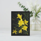 ~ Summer 11 ~ Briefkaart (Staand voorkant)