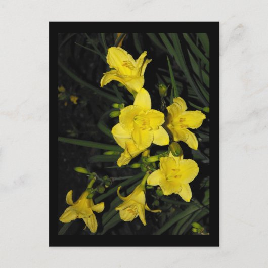 ~ Summer 11 ~ Briefkaart (Voorkant)