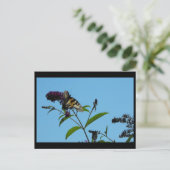 ~ Summer 19 ~ Briefkaart (Staand voorkant)