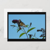 ~ Summer 19 ~ Briefkaart (Voorkant / Achterkant)