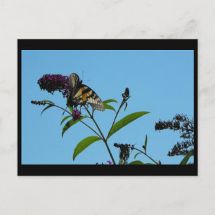 ~ Summer 19 ~ Briefkaart