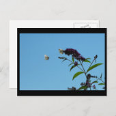 ~ Summer 20 ~ Briefkaart (Voorkant / Achterkant)