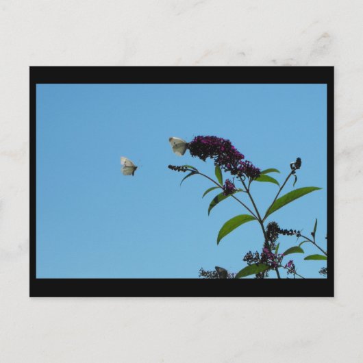 ~ Summer 20 ~ Briefkaart (Voorkant)