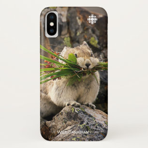 Summer - American Pica iPhone X Hoesje