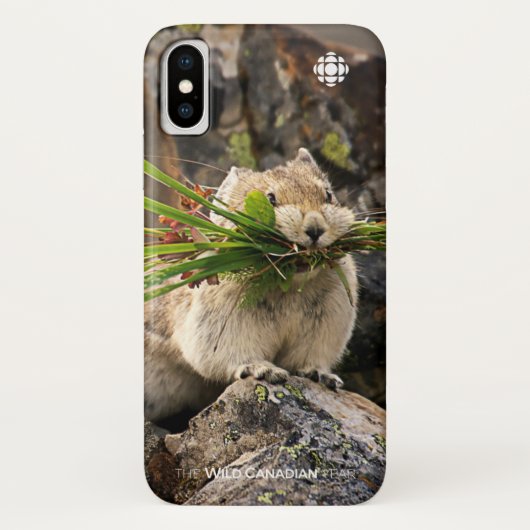 Summer - American Pica Case-Mate iPhone Case (Achterkant)