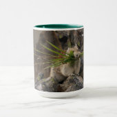 Summer - American Pica Mok (Midden)