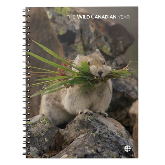 Summer - American Pica Notitieboek (Voorkant)