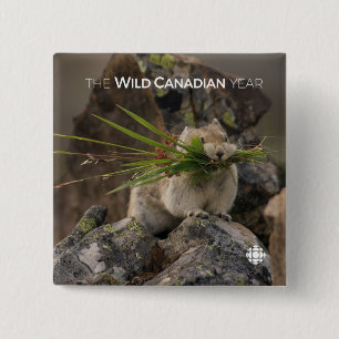 Summer - American Pica Vierkante Button 5,1 Cm