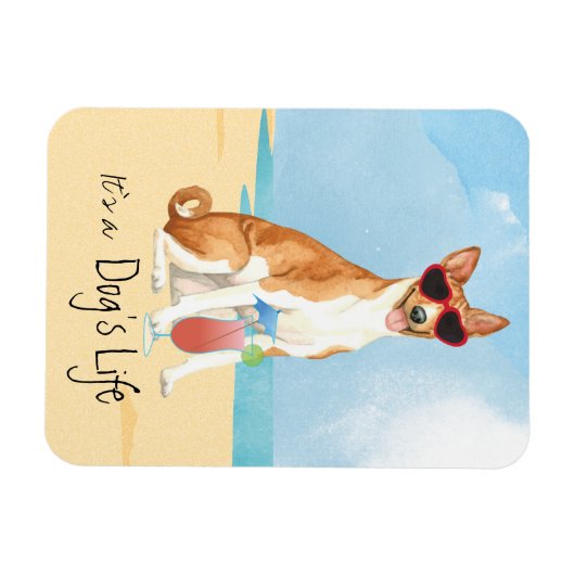 Summer Basenji Magnet Magneet (Horizontaal)