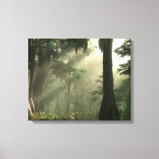 Summer Bayou Canvas Afdruk (Voorkant)