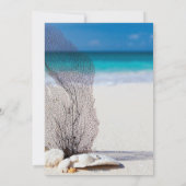 Summer Beach Seashell Blauw Sweet 16 Verjaardag Kaart (Achterkant)