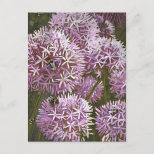 Summer bees 2014 briefkaart