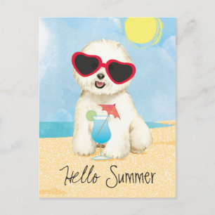 Summer Bichon Frise Briefkaart