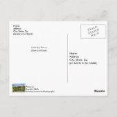 Summer bij War Eagle Briefkaart (Achterkant)