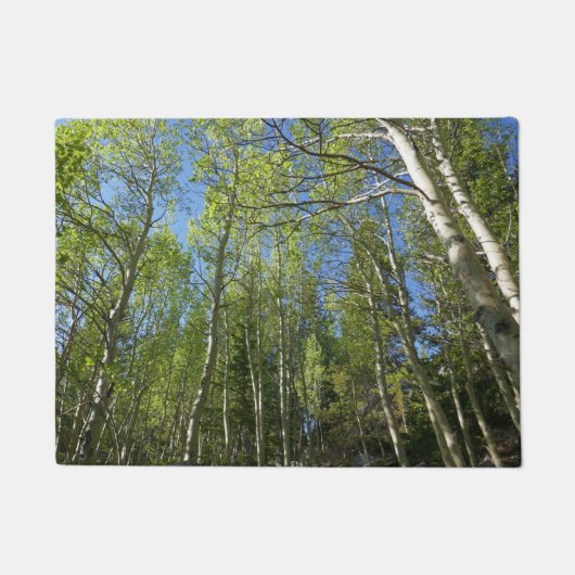 Summer Birch Trees in Rocky Mountain Deurmat (Voorkant)