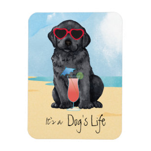 Summer Black Lab Magneet