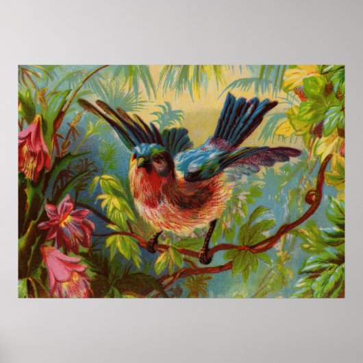 Summer Bluebird Medium Poster (Voorkant)