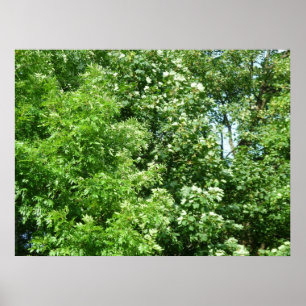 Summer Breeze Poster