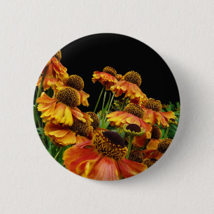 Summer Burst Button