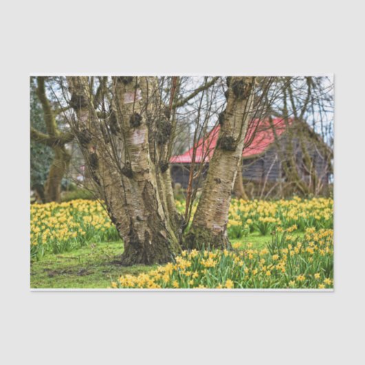 Summer Cabin Complete, Old Tree and Yellow Flowers Tissuepapier (Voorkant)