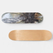 Summer Coconut Chill Palm 1 Skateboard (Horizontaal)