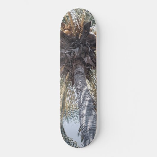 Summer Coconut Chill Palm 1 Skateboard (Voorkant)
