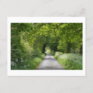 Summer Country Road Briefkaart